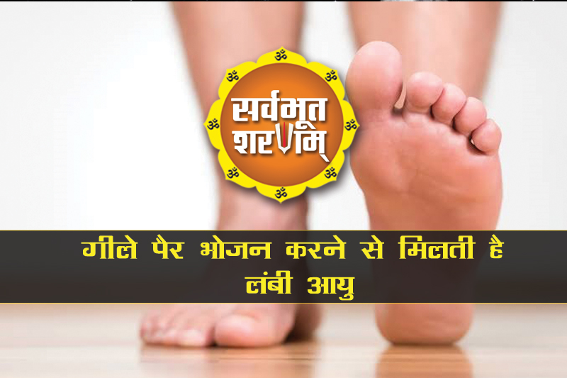Eating-wet-feet-gives-long-life