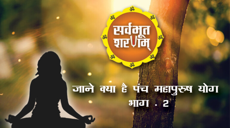 punch-mahapurush-yog-by-sarvabhoot-sharanam-bhag-2