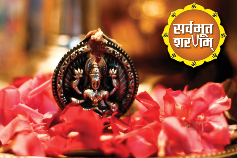सौभाग्य और मोक्ष चाहिए तो करें वरुथिनी एकादशी